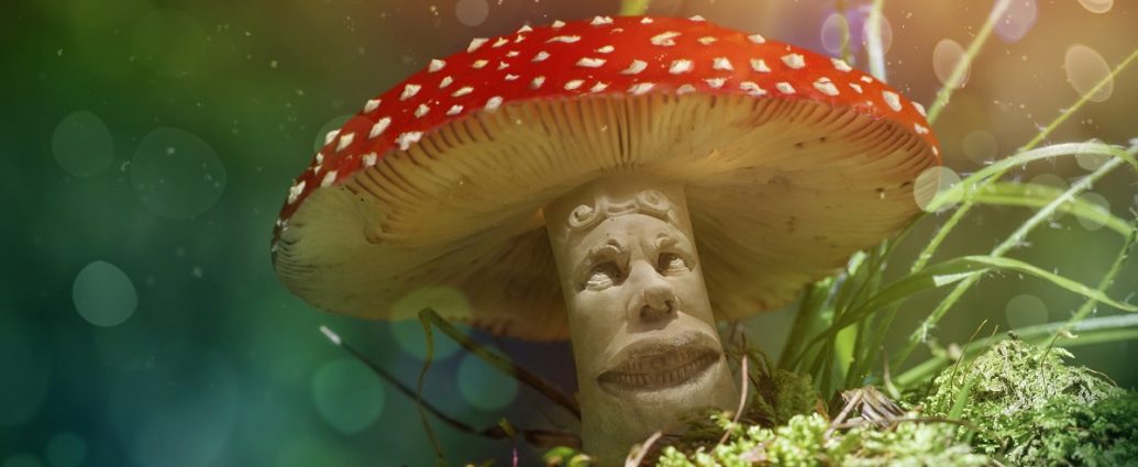 Microdoses of psychedelic mushrooms may improve mood and mental health