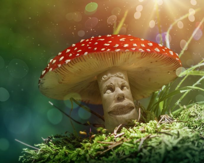 Microdoses of psychedelic mushrooms may improve mood and mental health