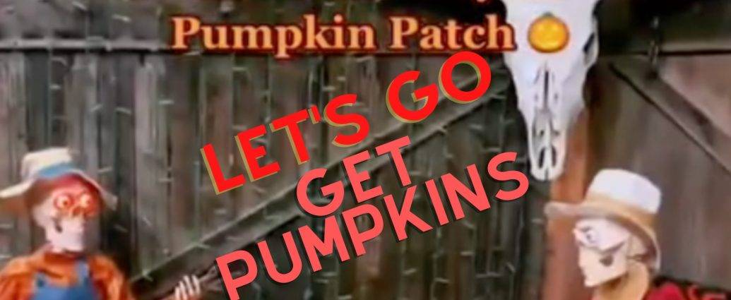 TPDAY in SOCAL we are visiting the LIVE OAKS Pumpkin Patch