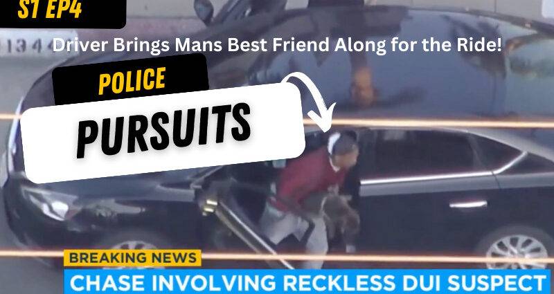Ready to See Some Crazy Police Pursuits?!? Season 1 - Episode 4
